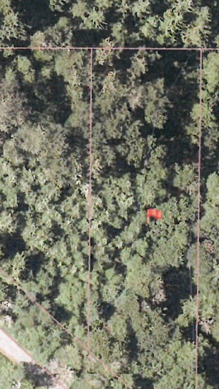 0 Mt Tahoma Canyon Rd Unit 846719, Ashford, WA 98304