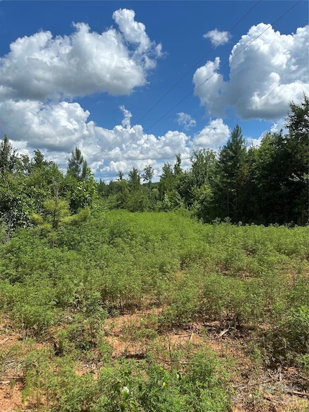 000 Mauney Rd, Bessemer City, NC 28016