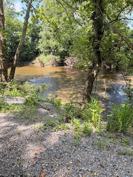 0 Patterson Trail, Eagle Rock, VA 24085