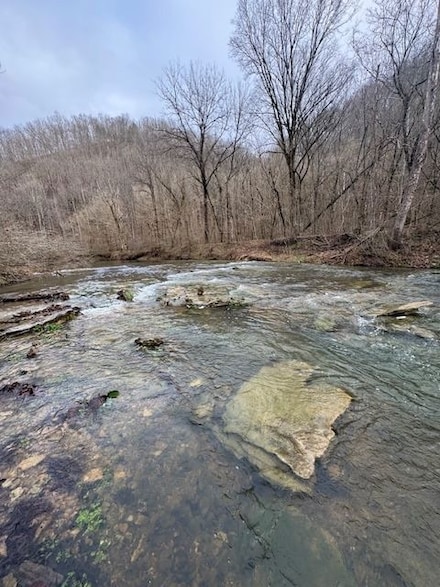 0 Brimstone Creek Rd Unit 22241864, Moss, TN 38575