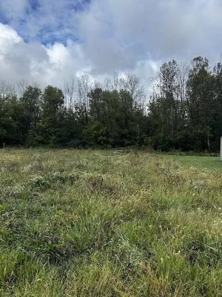 32 Giavonni Ln, Celina, TN 38551
