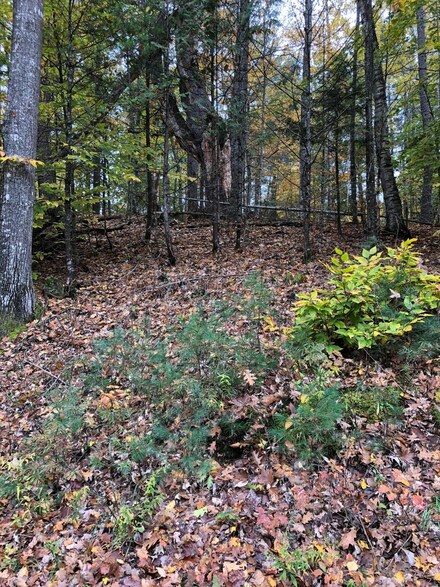 Lot 3 Penn Rd, Norway, ME 04268