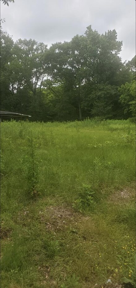 945 Cunnigen St, Magnolia, MS 39652