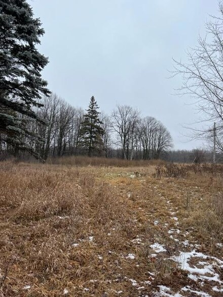 000 110th Ave Block 1 Lot 4, Princeton Township, MN 55371