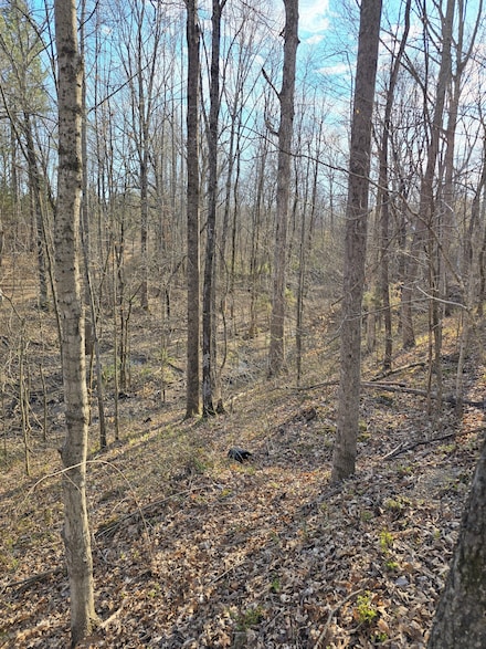 0 Tennessee 52, Portland, TN 37148