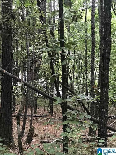 0 Aurora Cir Unit 18 21375466, Alpine, AL 35014