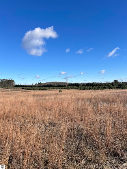 Vacant Land Johnson Rd, Bellaire, MI 49615