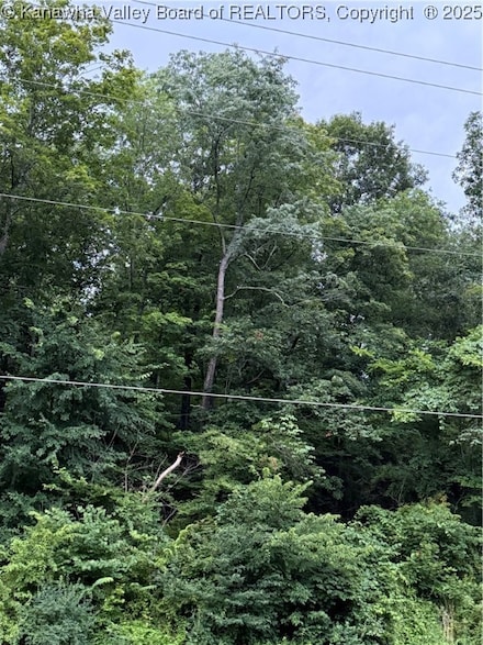 0 Roundbottom Rd, Peytona, WV 25154