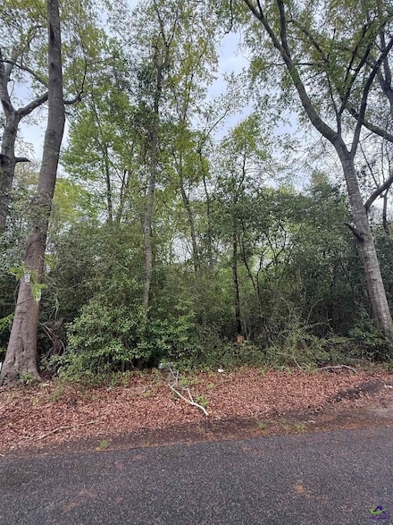 0 Ash St Unit 252155, Danville, GA 31017