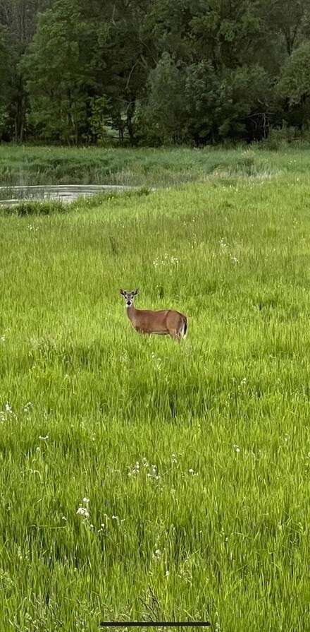 XXXX 280th St E, Webster, MN 55088