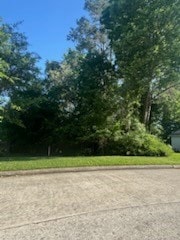 3824 Mystic Cir, Montgomery, TX 77356