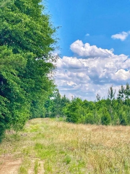 Highway 49 S, Smithville, GA 31787