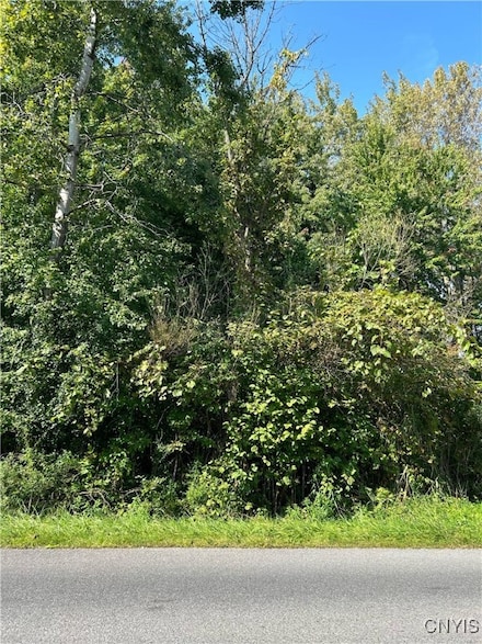Lot 2 Beach Rd, Cicero, NY 13029