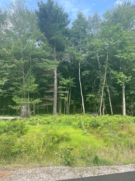 Lot 52 E Eagle Pass, Midland, MI 48640