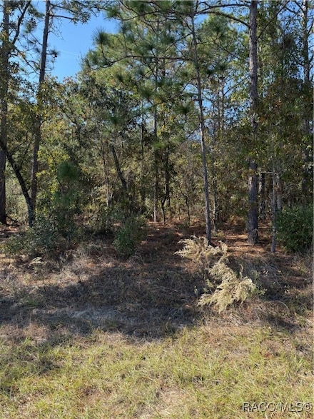 7093 N Regent Terrace, Citrus Springs, FL 34433