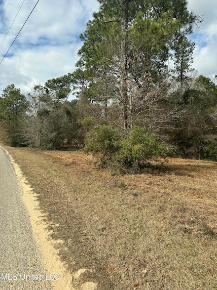 0 Bisbee Dr, Lumberton, MS 39455