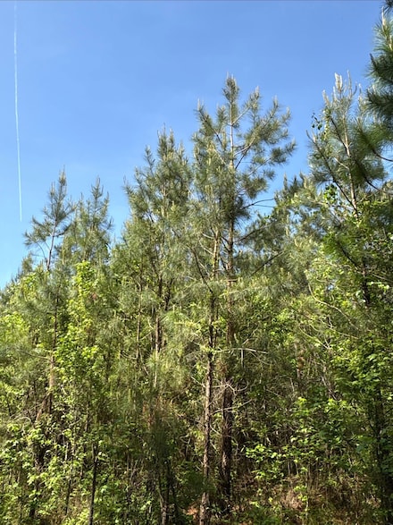 Off Nc-33, Aurora, NC 27806