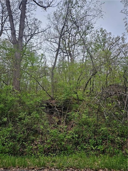 Lot 47 - 48 Park Ln, Tarsney Lakes, MO 64075