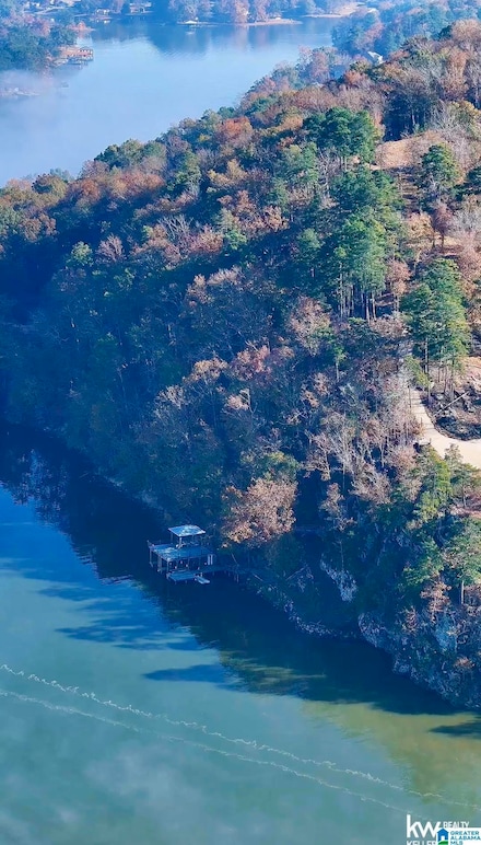 0 Mohawk Bluff Dr Unit 21437021, Ohatchee, AL 36271