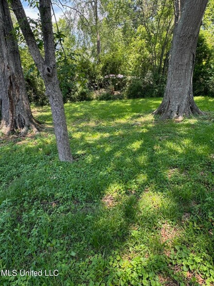 000 Bo Murphy Rd, Canton, MS 39046