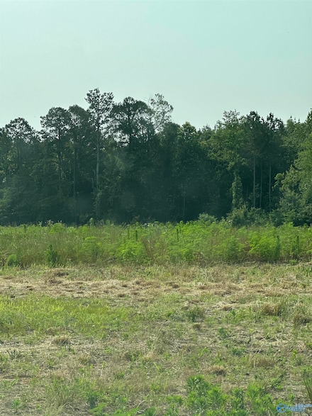 Tract 30 Hays Mill Rd, Elkmont, AL 35620