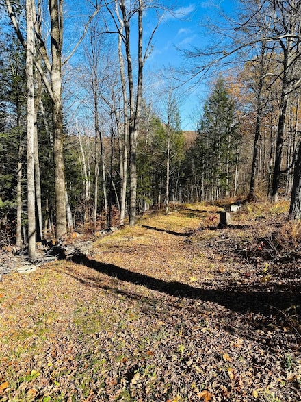 0 Cooke Rd, Brattleboro, VT 05301