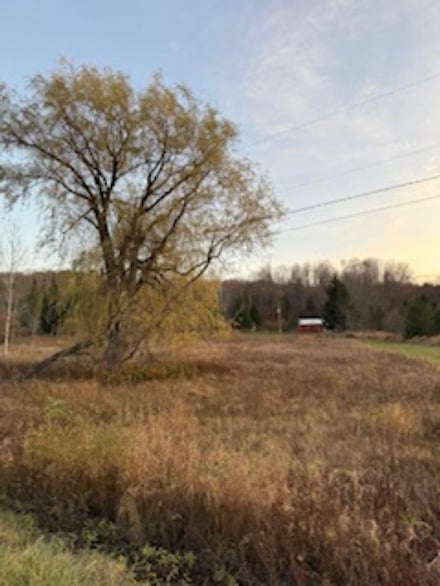 1504 Bauman Rd, Boyne City, MI 49712