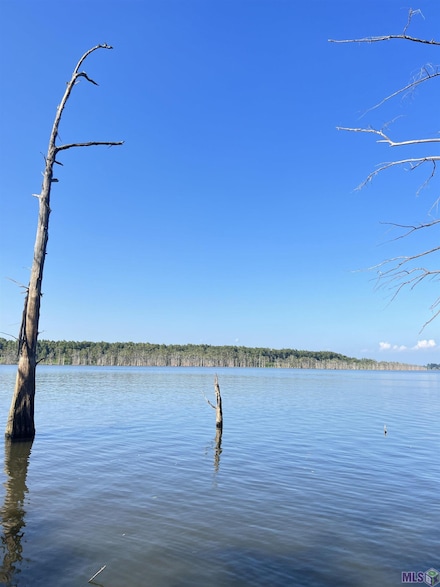 TBD Lakeshore Rd, Woodville, MS 39669