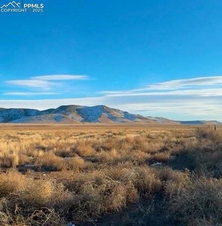 0 County Road 21 Unit 2463996, Manassa, CO 81141