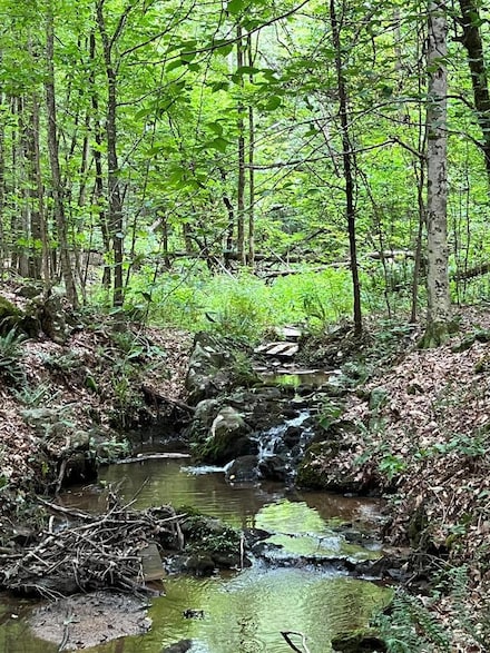 00 Cedar Spring S, Bradley, SC 29819