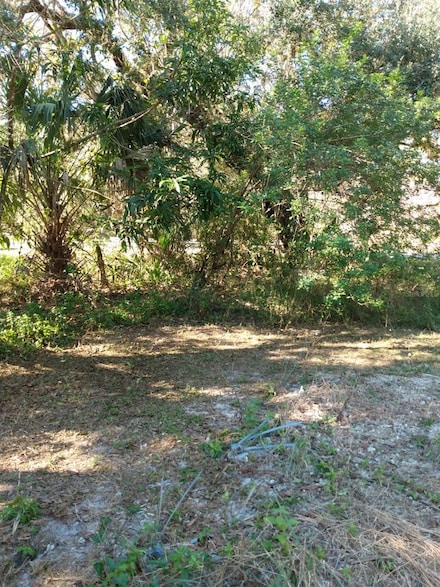 871 Caloosahatchee Ave, Labelle, FL 33935