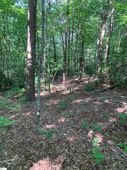 779 Trammell Rd, Travelers Rest, SC 29690