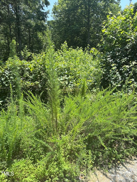 Lot 24 Turtle Hill Ct, Roxboro, NC 27573