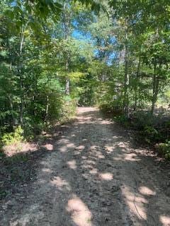 1285 TBD Halsey Fork Rd, Grassy Creek, KY 41352