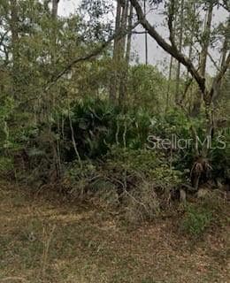 0 Brush St Unit MFRA4665586, Interlachen, FL 32148