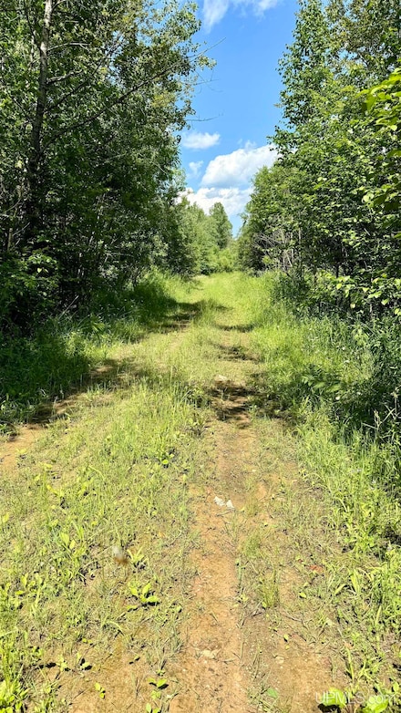 TBD Plantation Ln, Maple Ridge Township, MI 49880