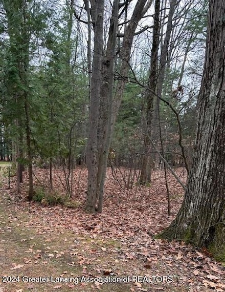 32 Deer Run Dr, Whitney Township, MI 48703