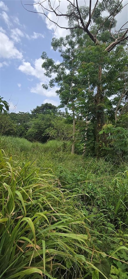 Km 9.1 Sr-829 Int Lot 7 Km 9 1, Bayamon, PR 00958