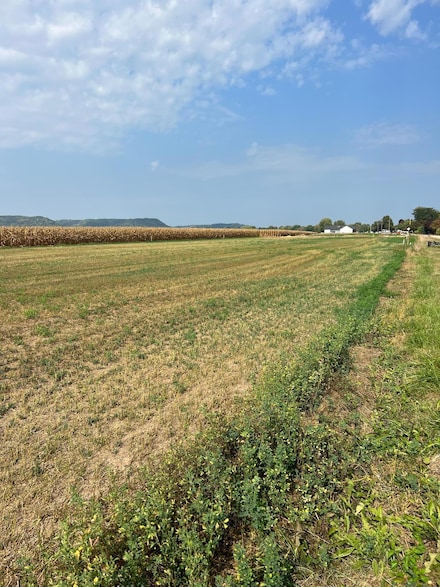 1512 River Dr S, Wabasha, MN 55981