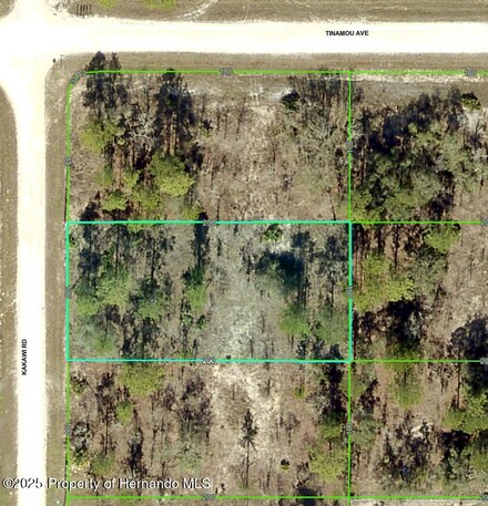 16330 Kakawi Rd, Brooksville, FL 34614
