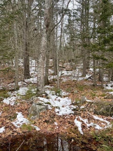24 Seguinland Rd, Georgetown, ME 04548