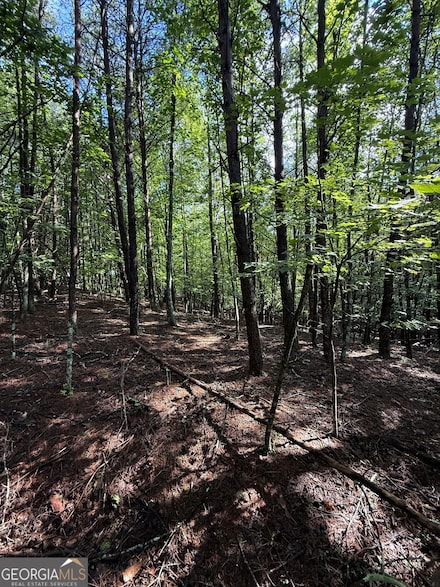 LOT 5 Marci Ln, Sautee Nacoochee, GA 30571