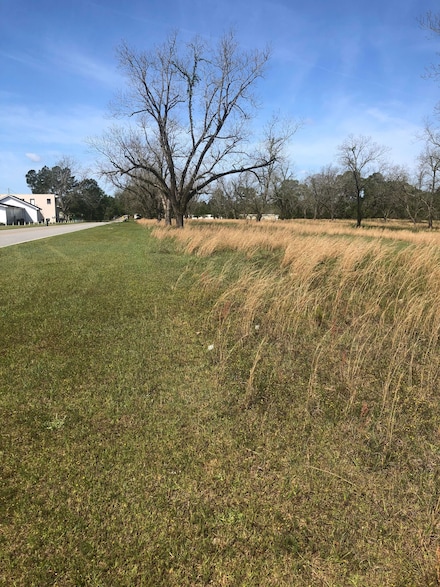 0 Dublin Rd, Claxton, GA 30417