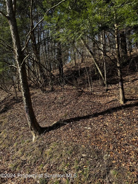 Lot 5 Pennsylvania 29, Noxen, PA 18636