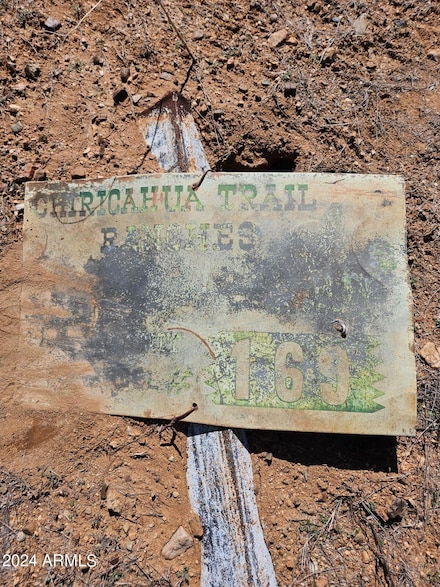 LOT 169 Chiricahua Trail Ranches Pione -- Unit 169, Willcox, AZ 85643