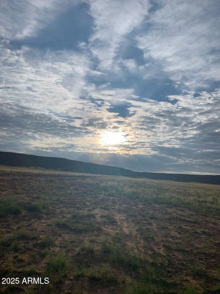 TBD 41 Acres -- Unit 25, Saint Johns, AZ 85936