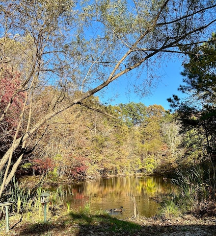 0 Farley Rd, East Bernstadt, KY 40729