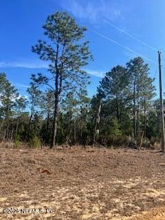 244 Cessna Way, Hawthorne, FL 32640
