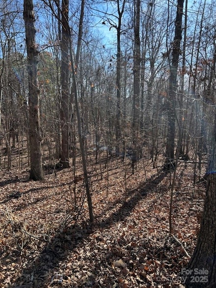 0000 Alfred Ln, Fort Mill, SC 29708
