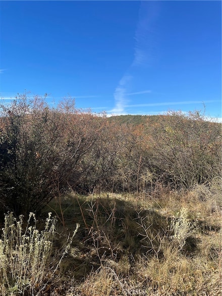 0 Acacia Rd Unit IV25247158, Arrowbear, CA 92321